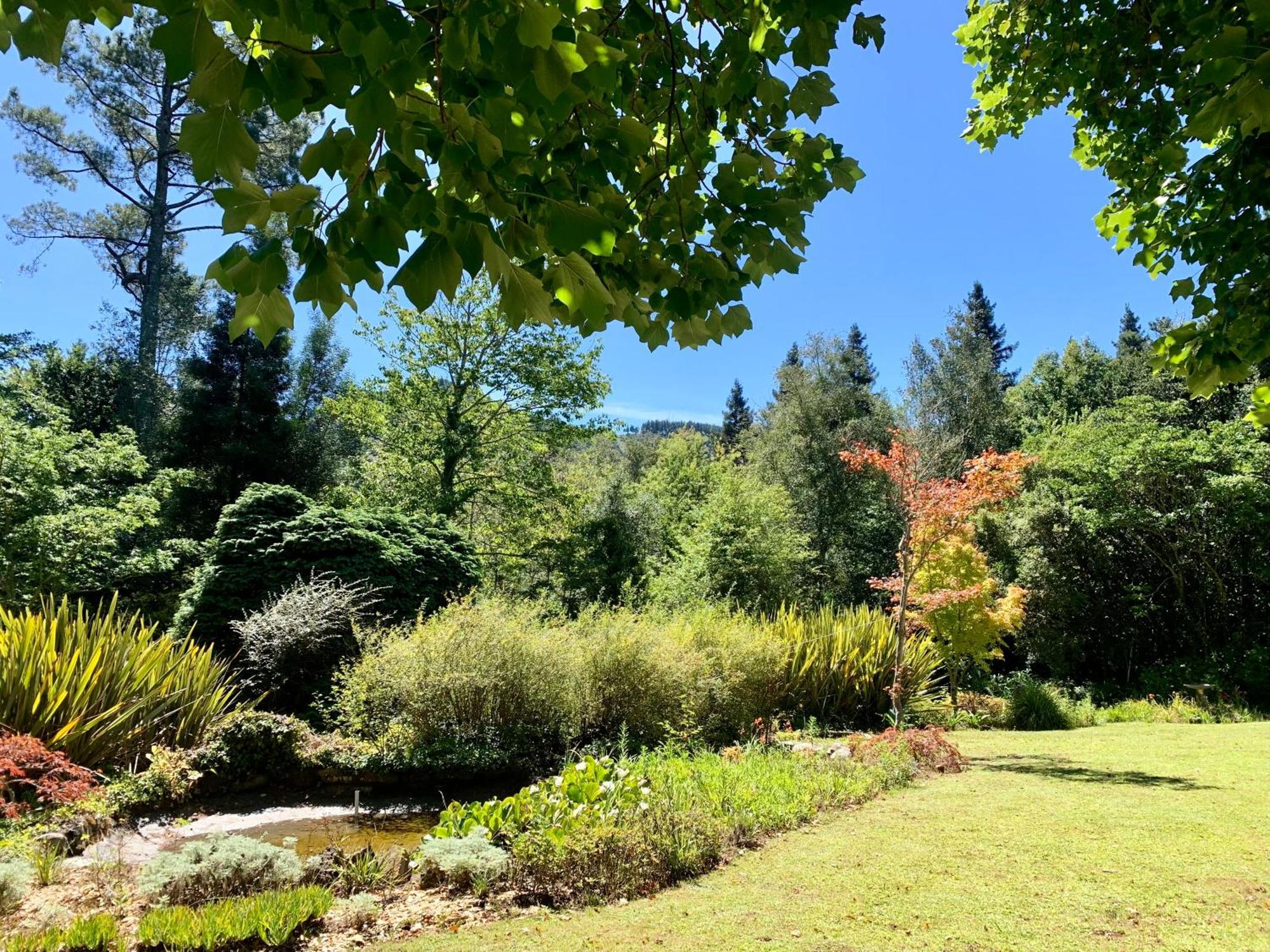 Back O' The Moon Holiday Cottage Hogsback Exterior photo