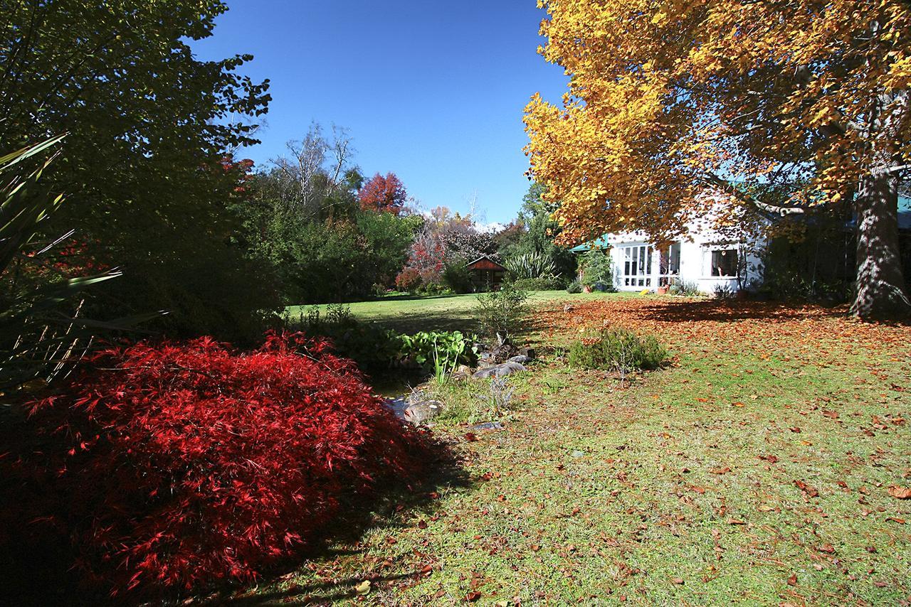 Back O' The Moon Holiday Cottage Hogsback Exterior photo